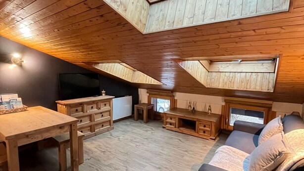 Une pièce de style loft avec un plafond en bois, une télévision, un canapé et une table à manger.