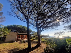Property grounds - Beachfront villa - 6 guests (Cavalaire-sur-Mer)