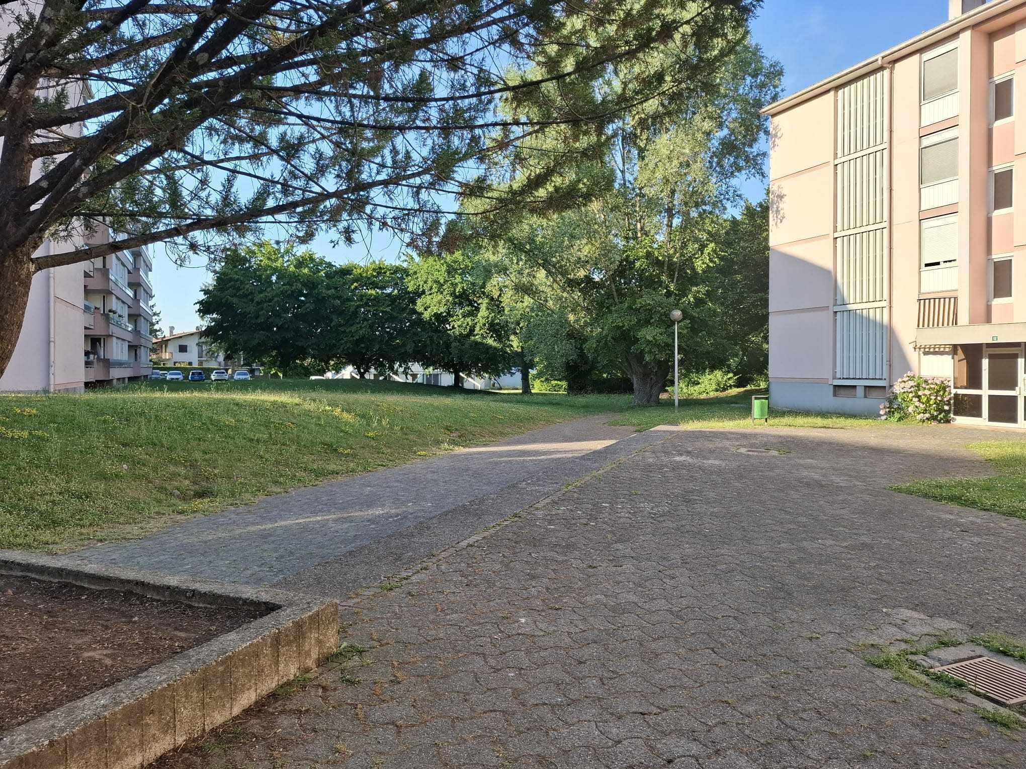 A paved pathway leading to a building with a flat roof and multiple windows.