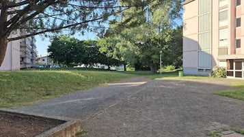 A paved pathway leading to a building with a flat roof and multiple windows.