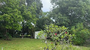 Un espace extérieur verdoyant avec un petit arbre et un abri de jardin blanc.