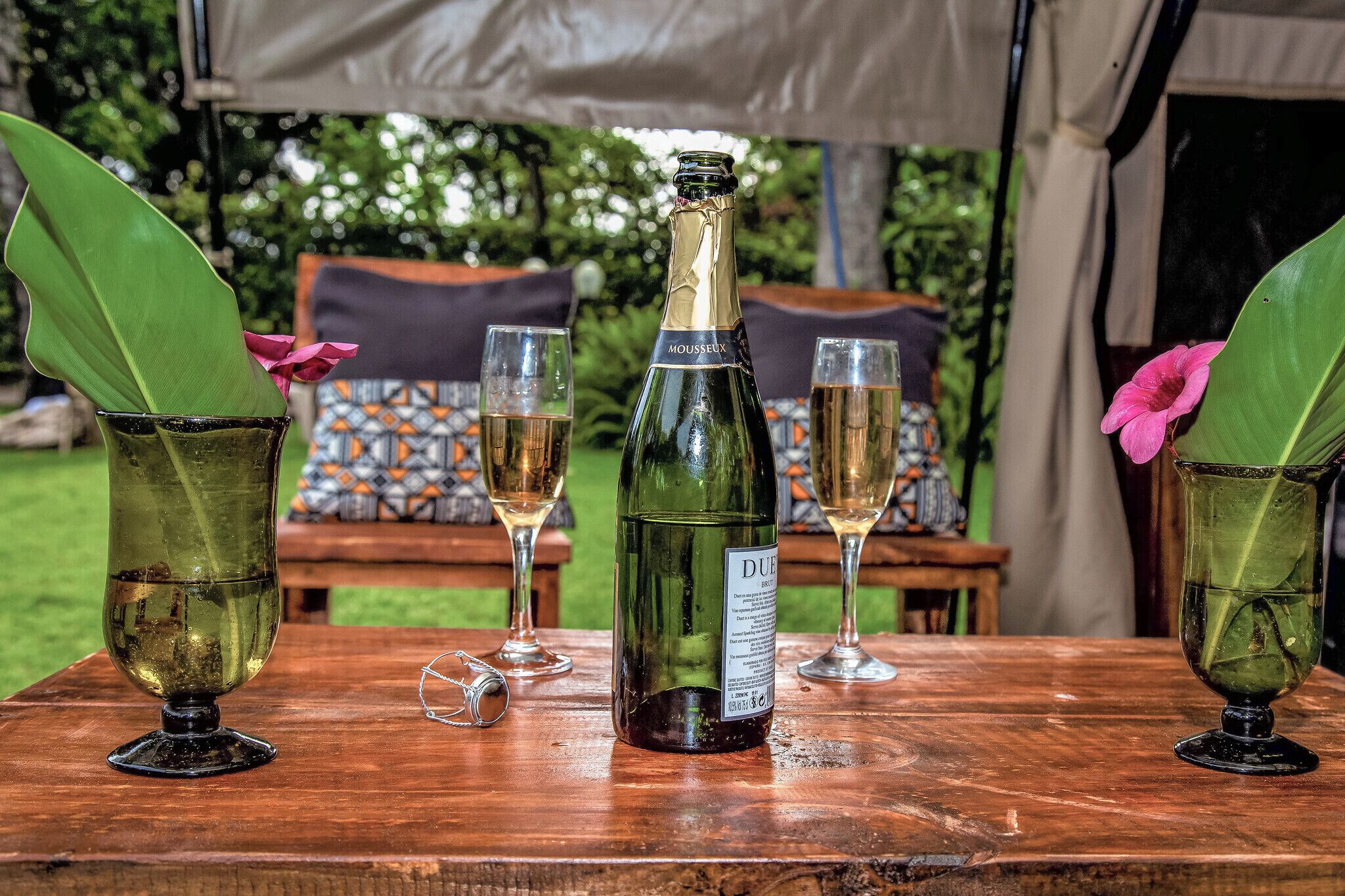 A bottle of DUE wine on a wooden table with two glasses of wine, surrounded by green leaves and a pink flower.