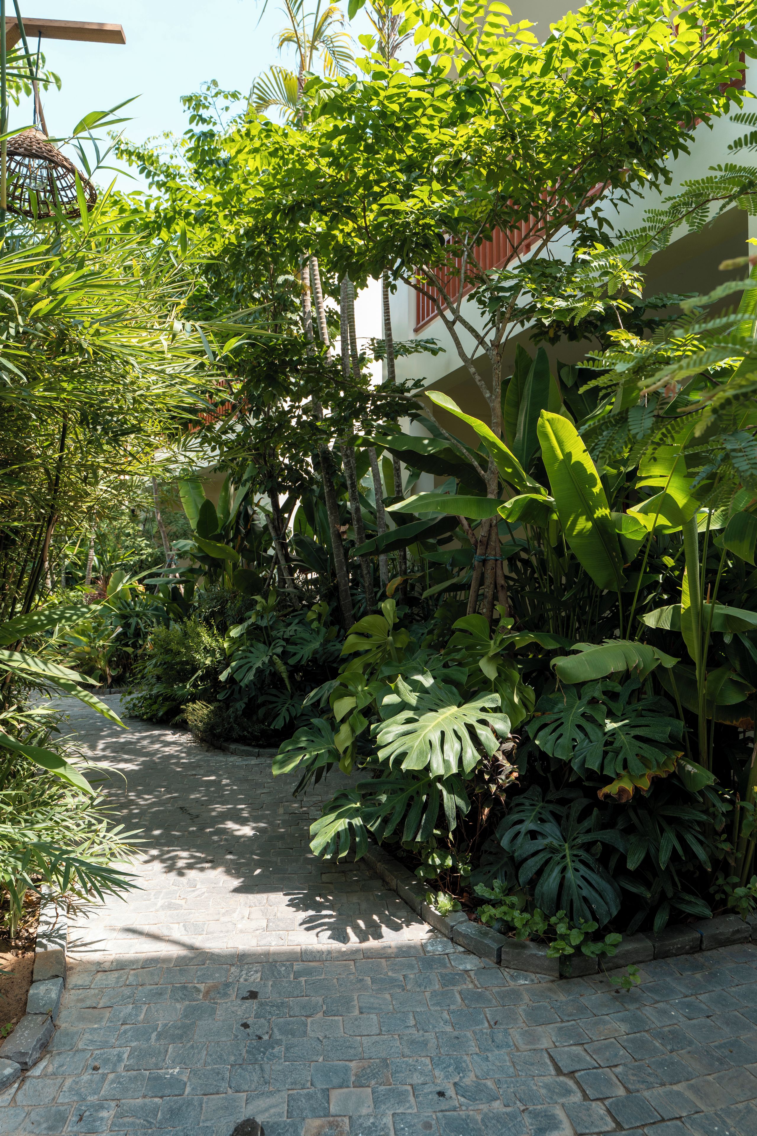 A paved pathway surrounded by lush tropical vegetation, including large-leafed plants and ferns.