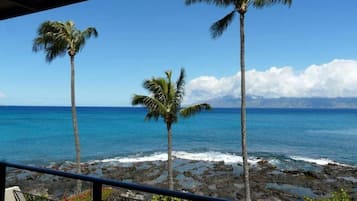 Condo, 1 Bedroom | Property grounds