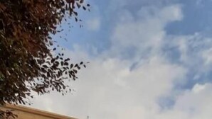 Un edificio de dos pisos con techo plano, un balcón con plantas en macetas y un jardín delantero bien cuidado.