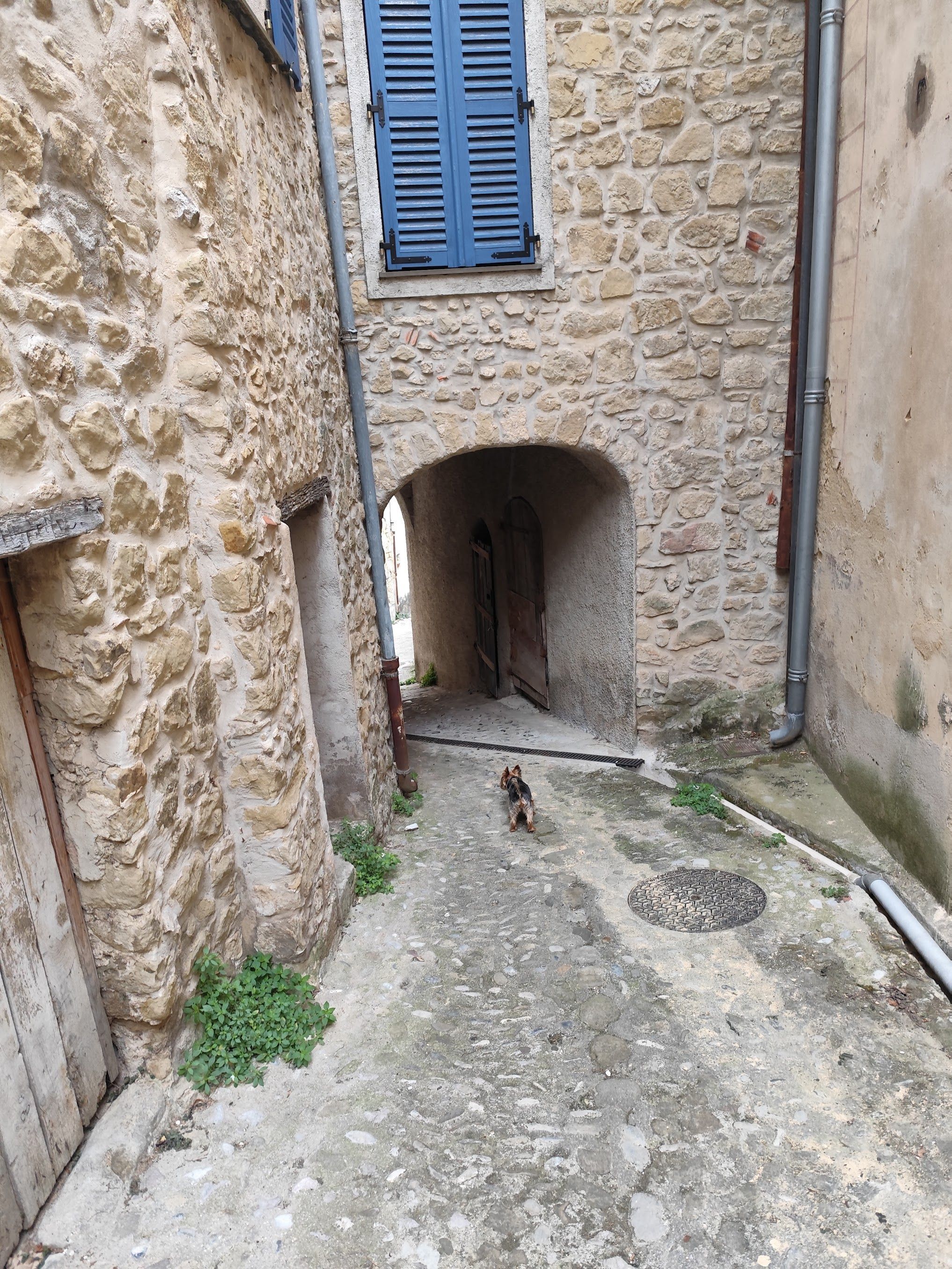 Une ruelle étroite pavée, avec un petit chien, une fenêtre à volets bleus et un tuyau en métal.