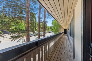 Property grounds - Remodeled Mountain Retreat, Walkable to Main Street And Carter Park (Breckenridge)
