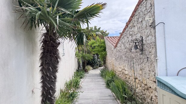 A narrow alleyway with a palm tree, a stone wall, and a bell on the wall. - Charming house near Chaucre Beach (Saint-Georges-d'Oléron)