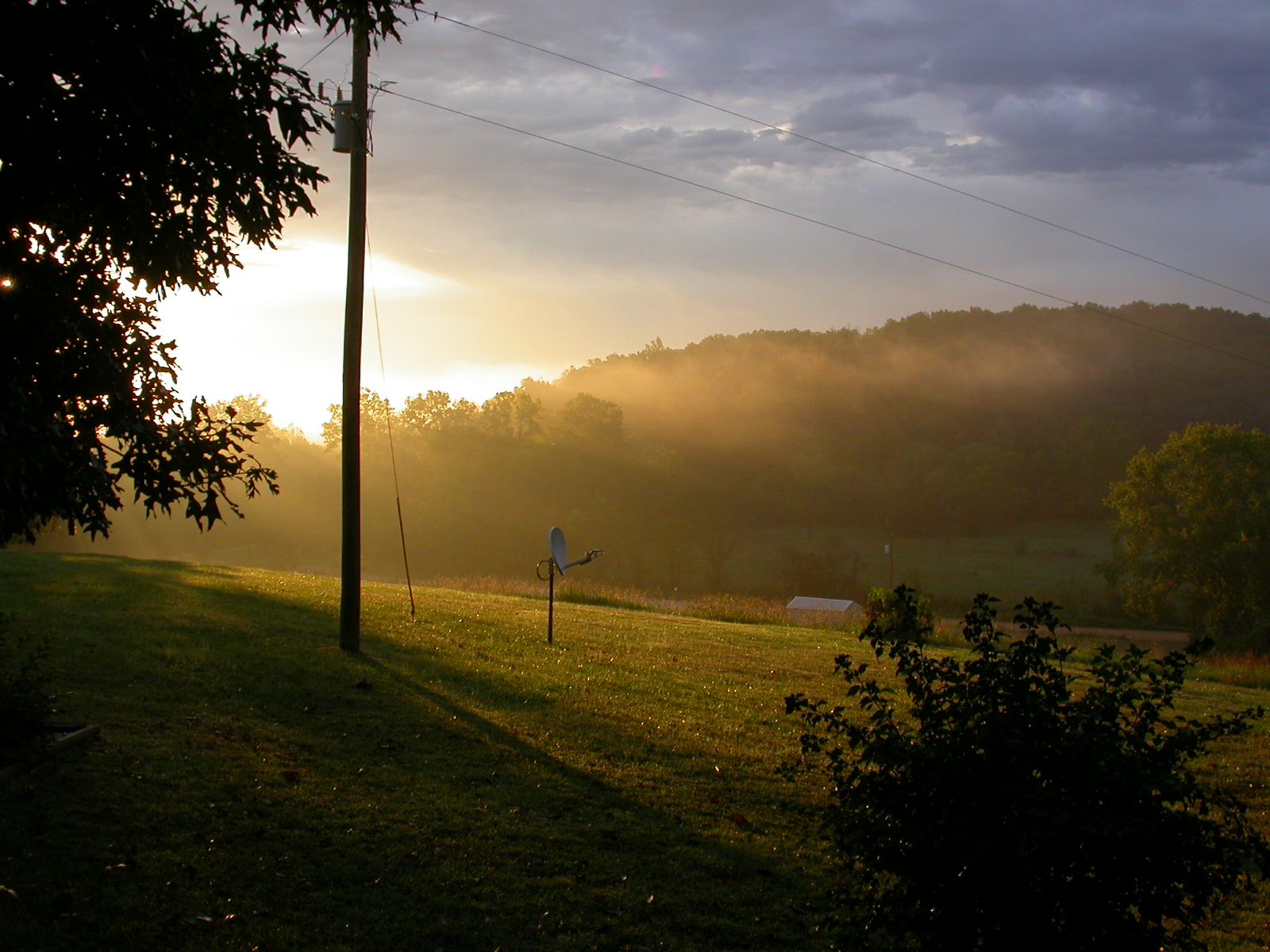 A rural landscape with a grassy field, a tree, and a building in the distance.