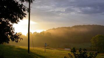 A rural landscape with a grassy field, a tree, and a building in the distance.