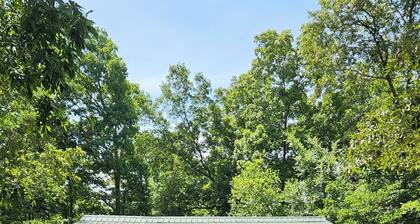 Fall Getaway Cabin Bordering Mark Twain National Forest w/Fire Pit & Trails