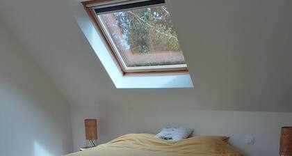 House a 10-minute bike ride from the beaches