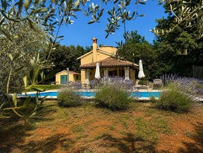 Eine Villa mit Schwimmbad, umgeben von Lavendelbüschen und Olivenbäumen.