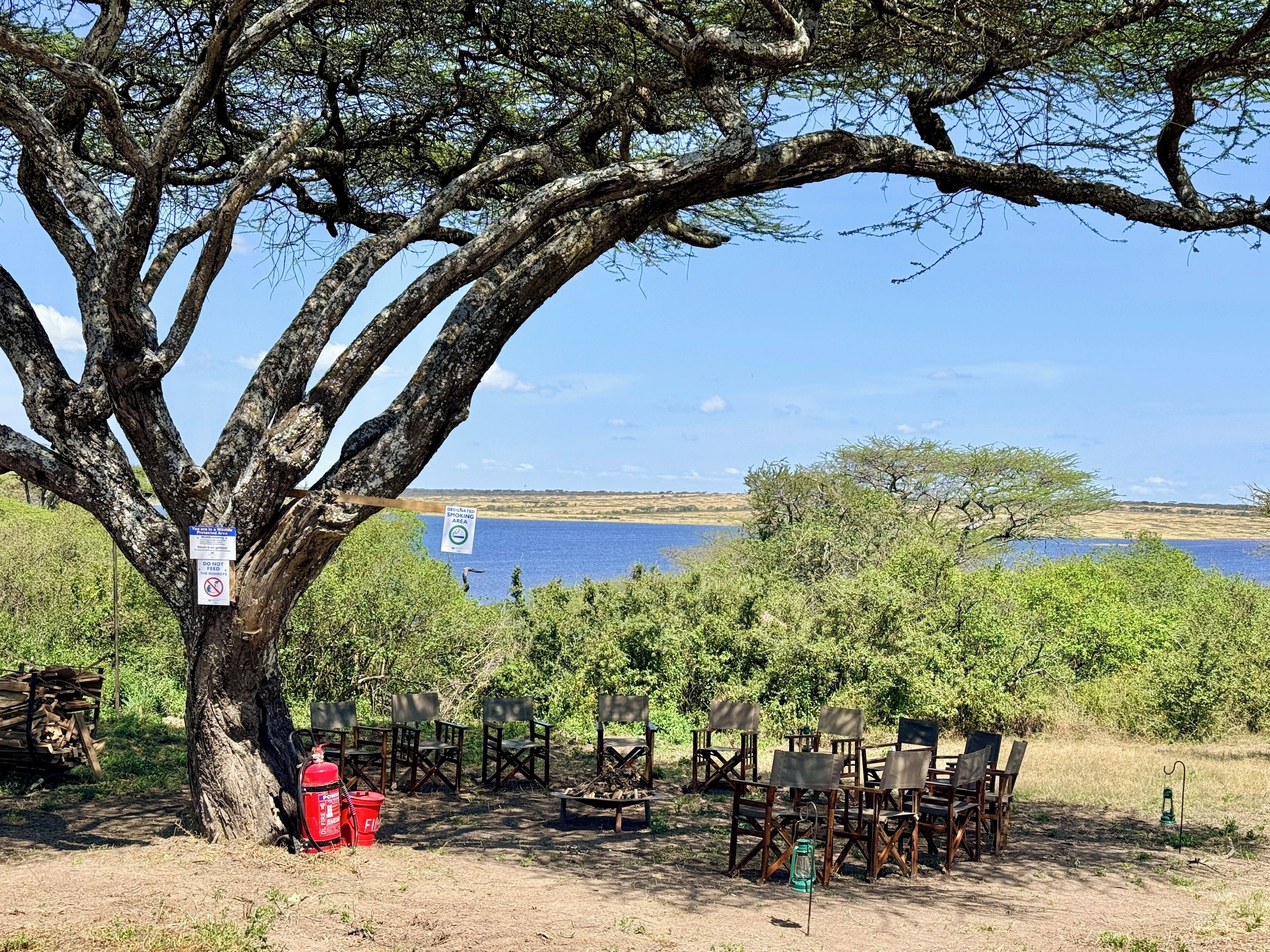 A tree with a sign, outdoor seating, a fire extinguisher, and a view of a body of water.