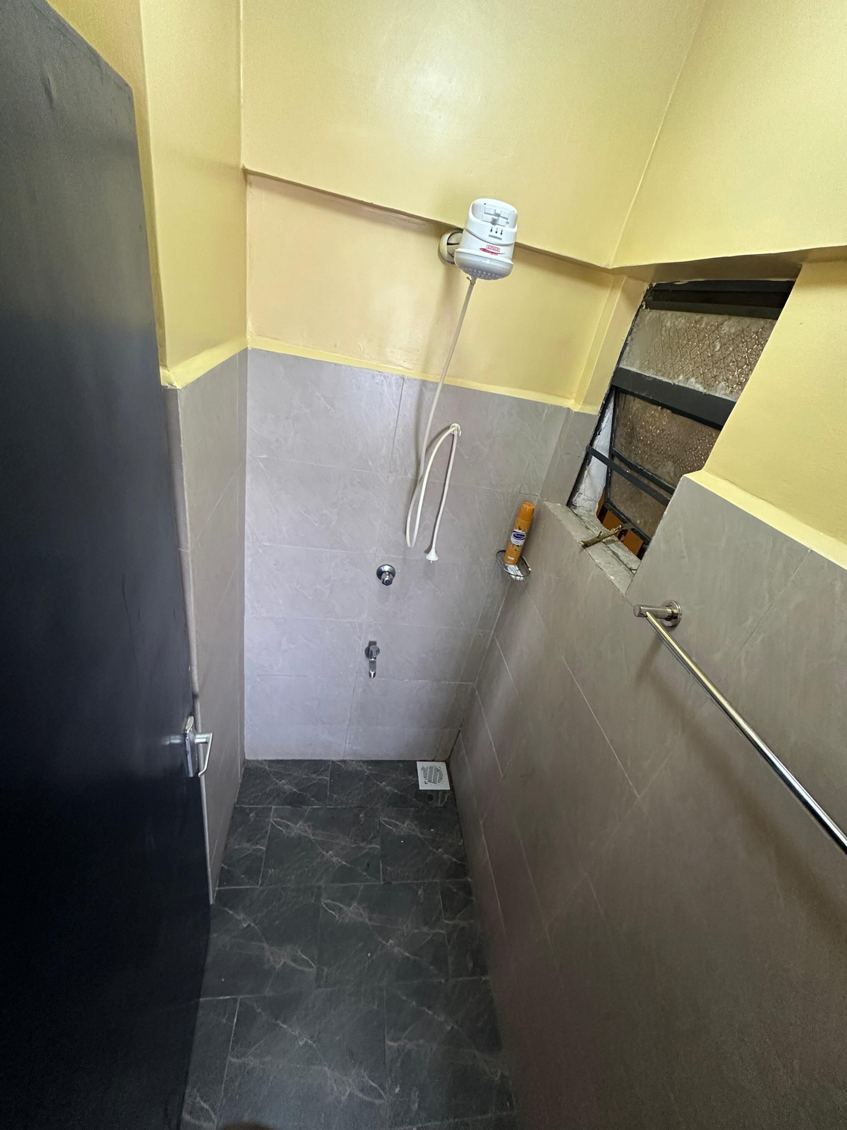Shower, bidet, towels, soap