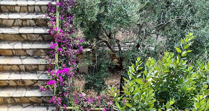 OLIVE Apartment