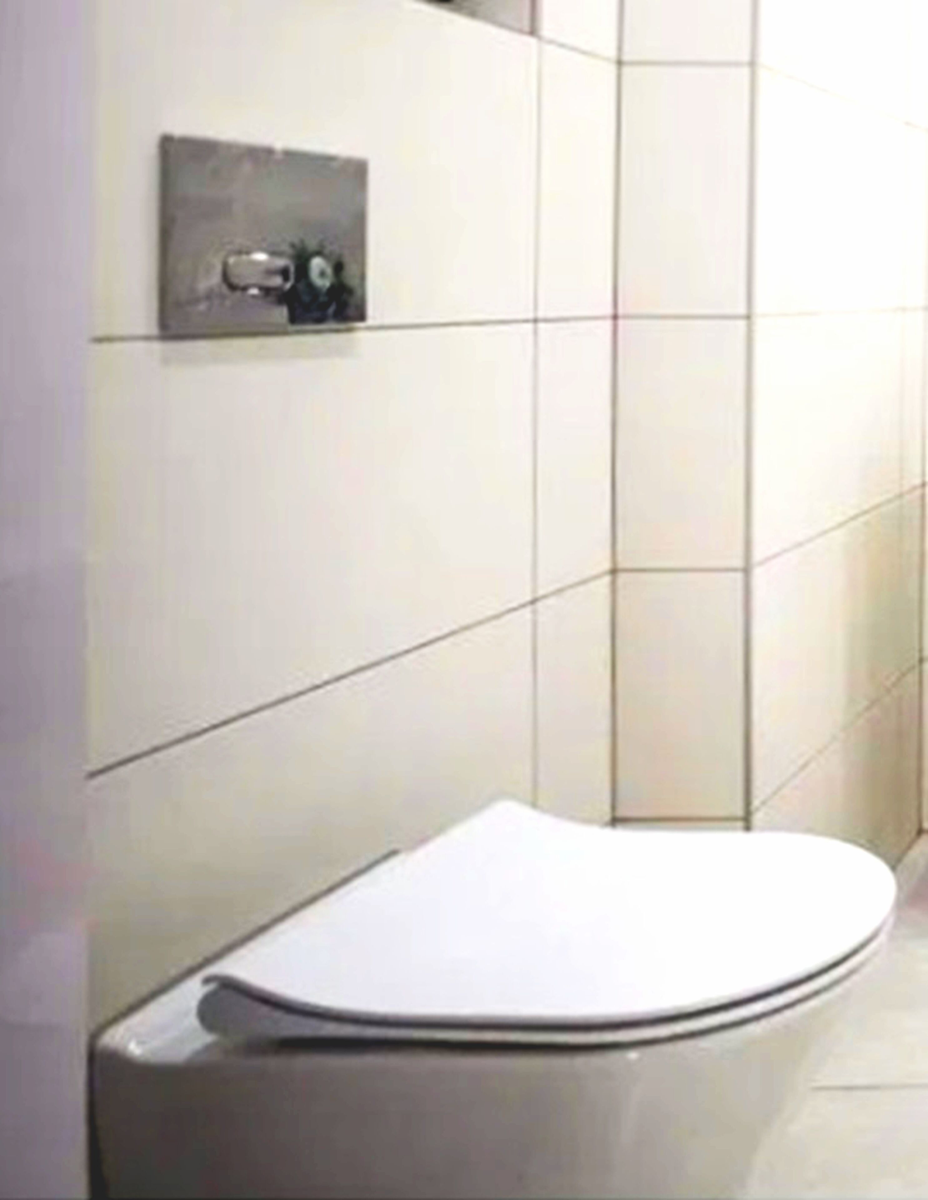 Towels, toilet paper