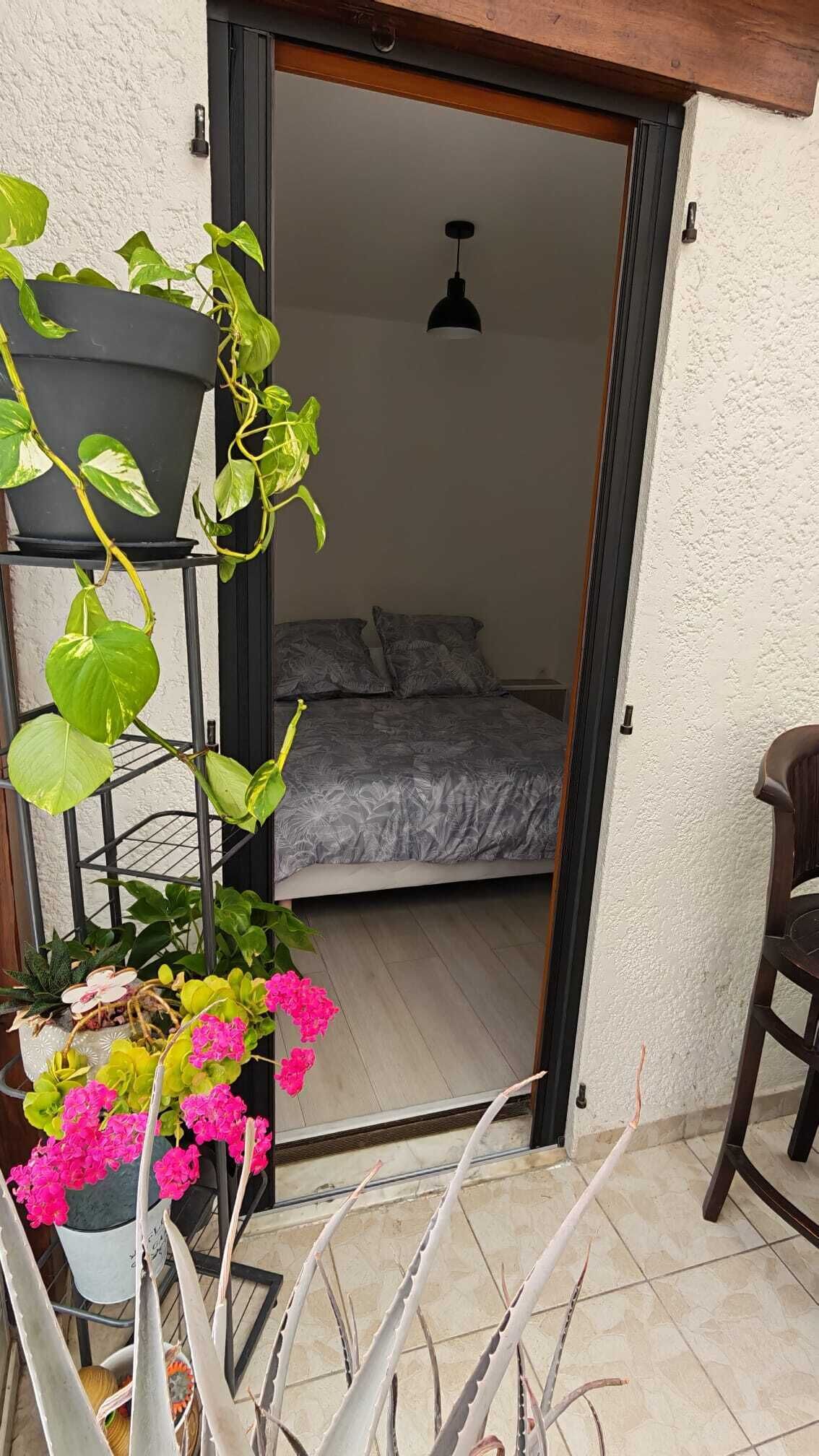 A room with a bed, a potted plant, and a chair.