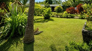 A tropical garden with a palm tree, a small house, and lush greenery. - Cabañas Anariki - Cozy centrally located room with 2 single beds #2 (Hanga Roa)