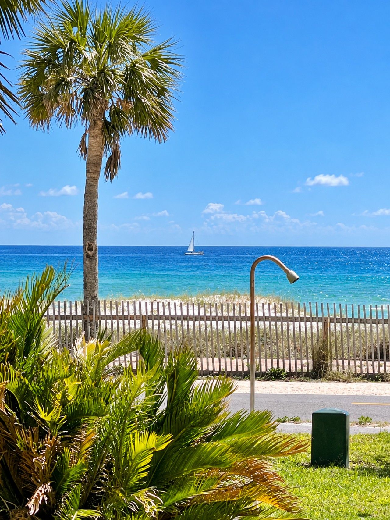 Escena de playa con una palmera, una valla y un velero en el agua.