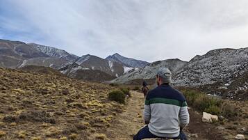 A person riding a horse on a dirt trail with mountains in the background.