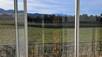 Une vue à travers une fenêtre donnant sur un vignoble, avec une rambarde métallique au premier plan.