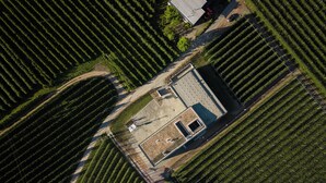 Une vue aérienne d’une propriété dont le bâtiment principal est entouré de rangées de cultures soigneusement alignées.