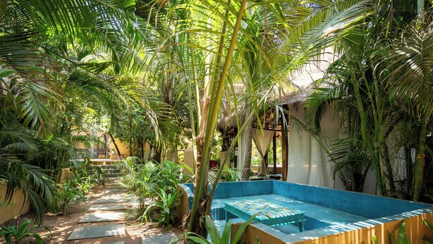 Ein tropischer Garten mit einem blauen Pool, Steinstufen und üppigem Grün.