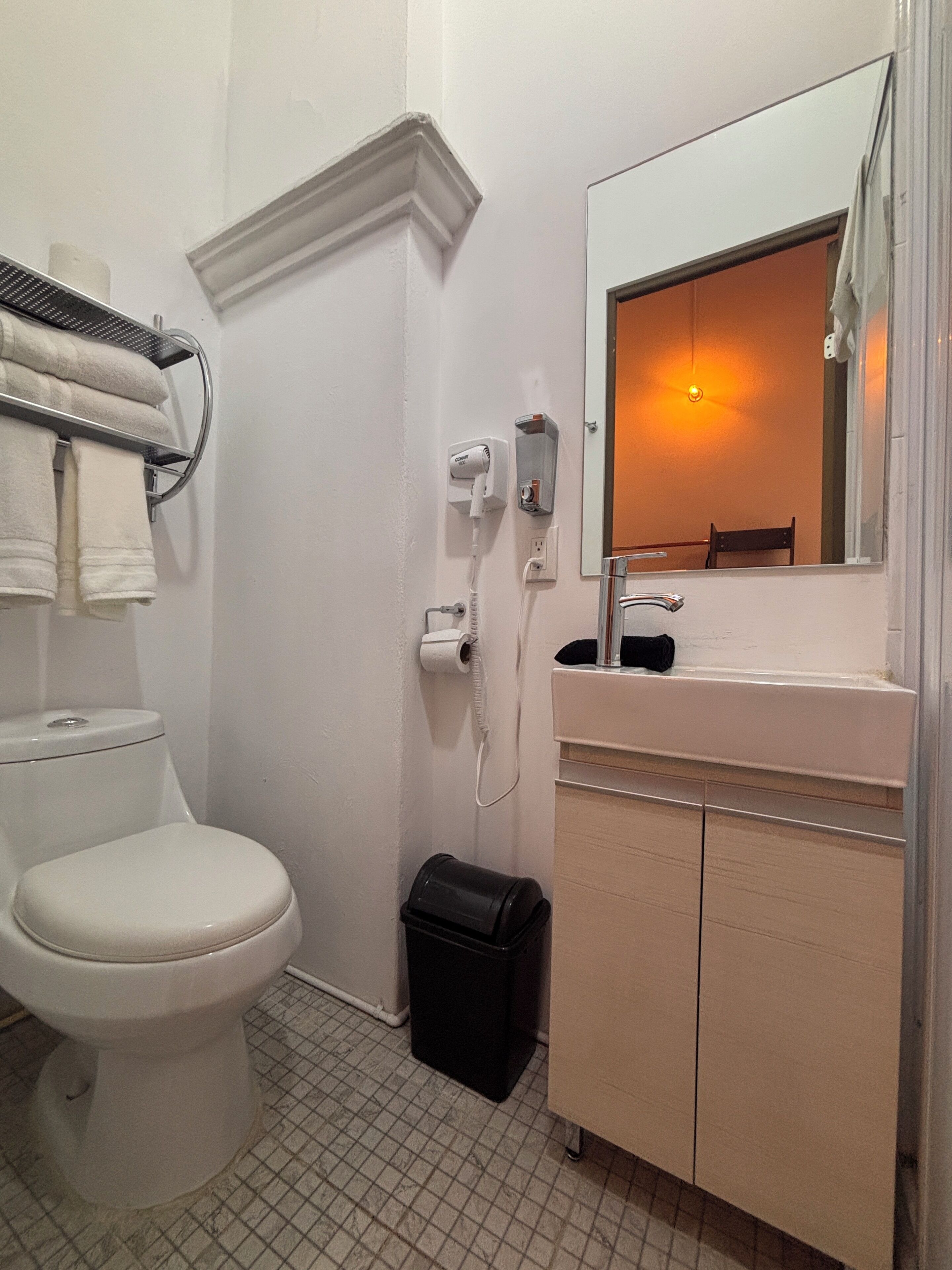 Une salle de bain équipée de toilettes, d’un porte-serviettes, d’un sèche-cheveux, d’un miroir et d’une poubelle.