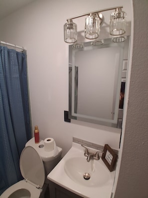 Towels, soap, toilet paper - 3-bedroom house in serene Flint with cool AC for relaxing stays (Flint)