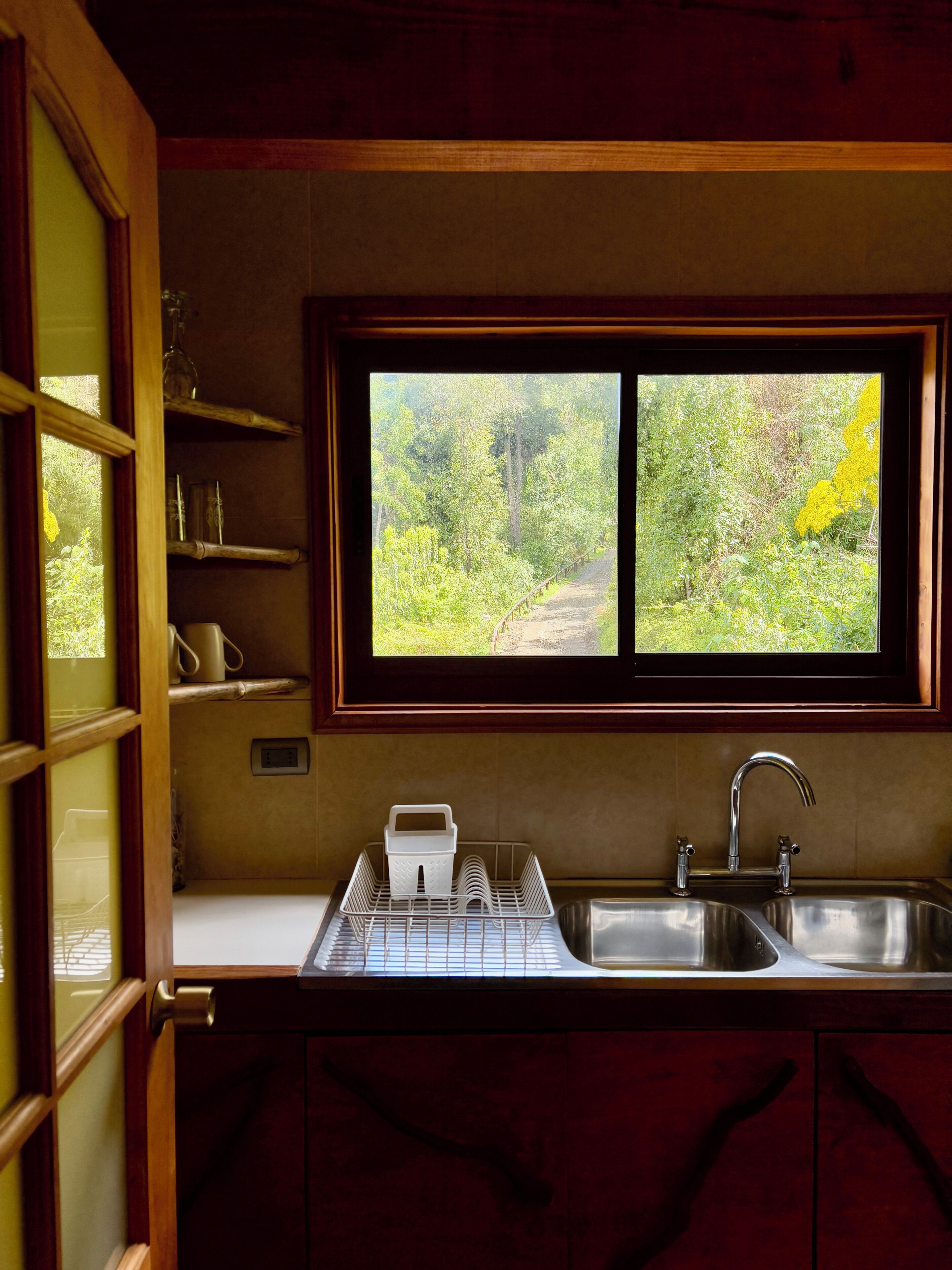 A kitchen with a window view of a forest path, a sink, and a dish rack.
