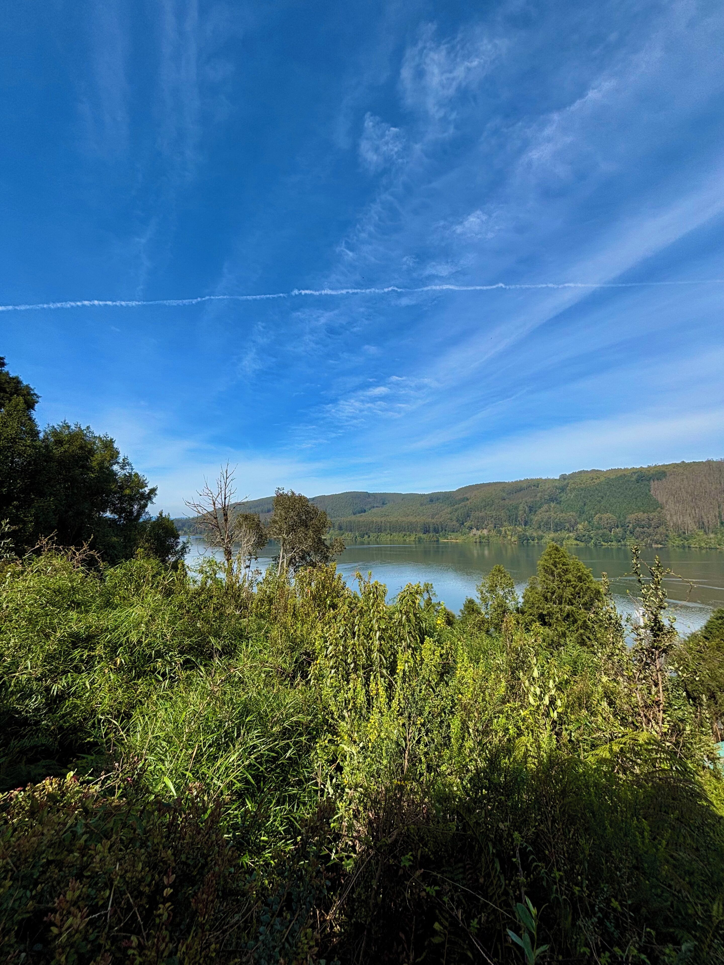 Un paisaje natural con un lago, vegetación densa y cielo despejado.