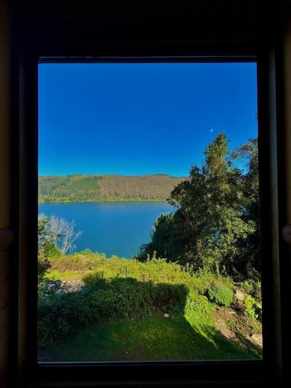 A window view of a lake with surrounding greenery and a clear sky.