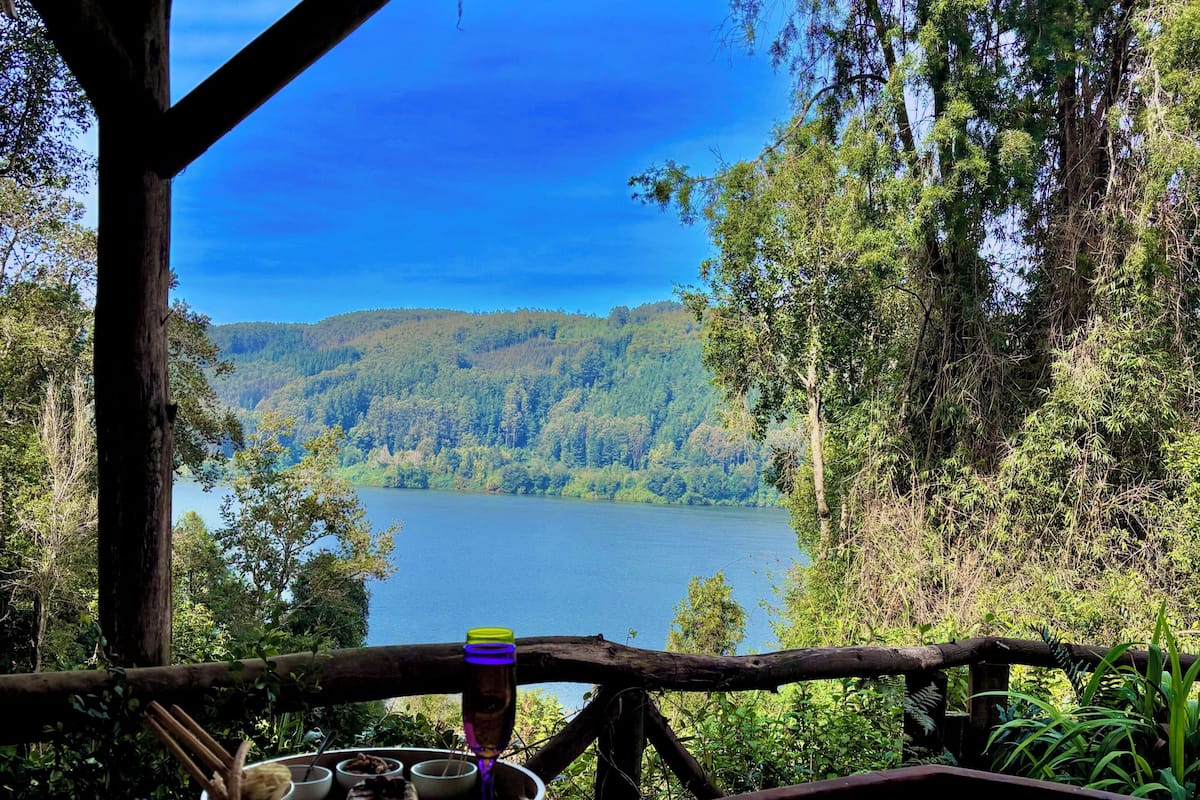 Vista al jardín