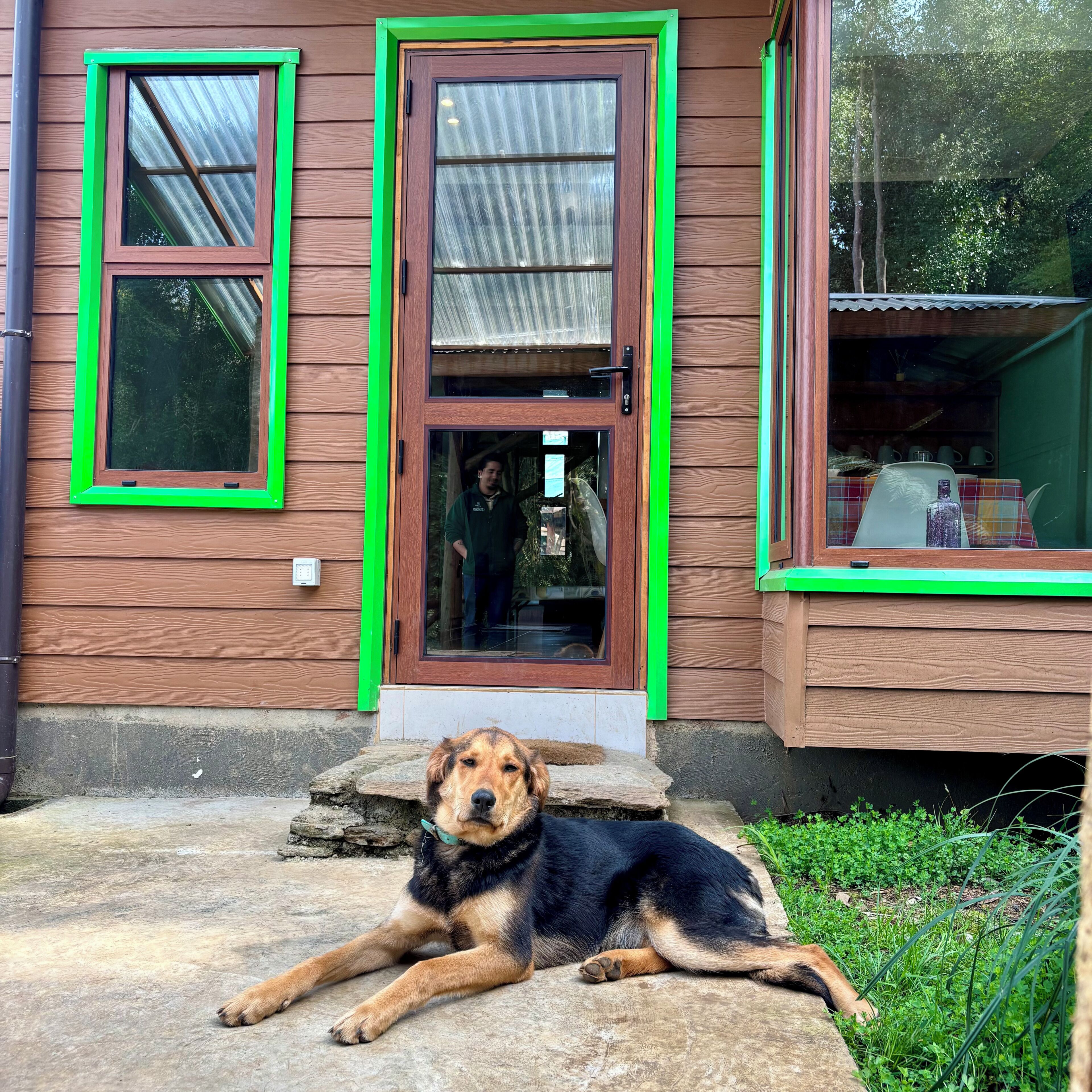 Cabaña, 3 habitaciones, se admiten mascotas, vista al río (Cabaña Zorzal) | Vista al jardín