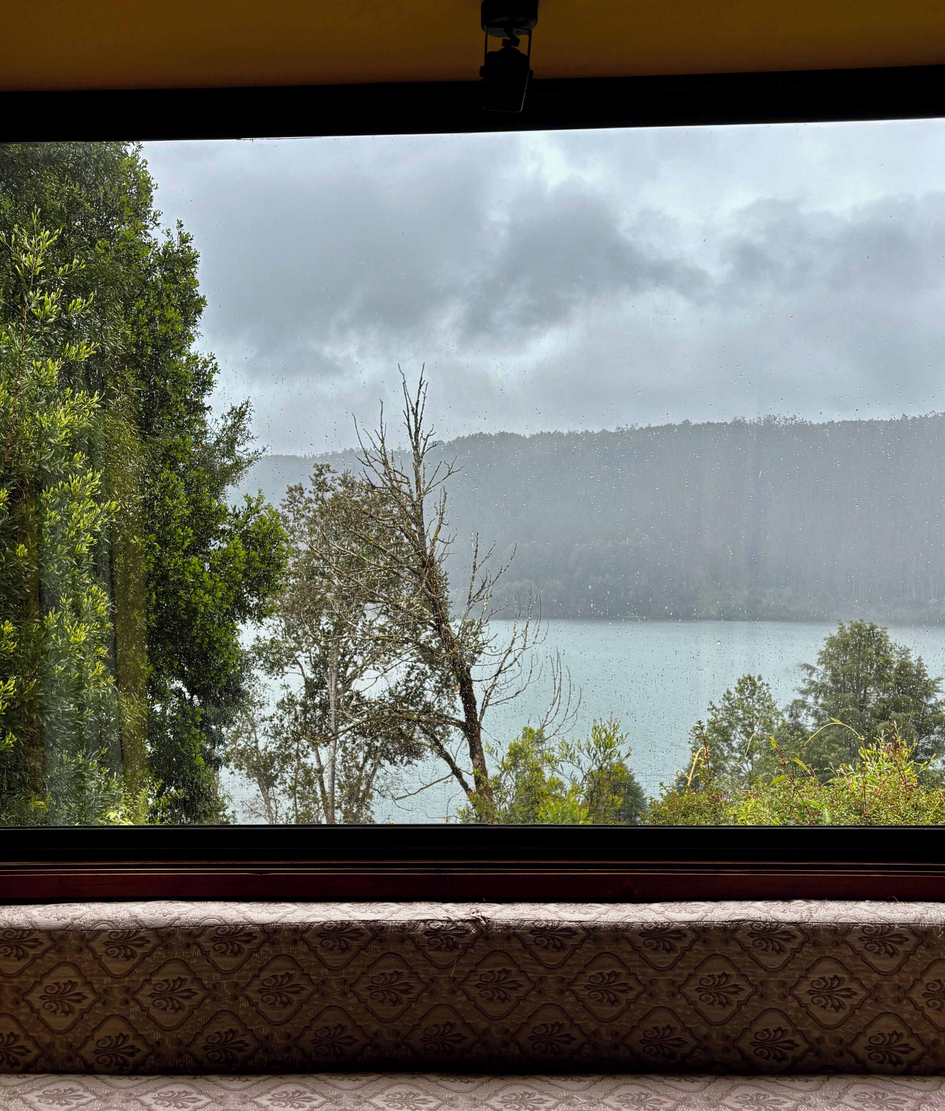 Vista a través de una ventana con cortina estampada, sobre un cuerpo de agua y árboles.