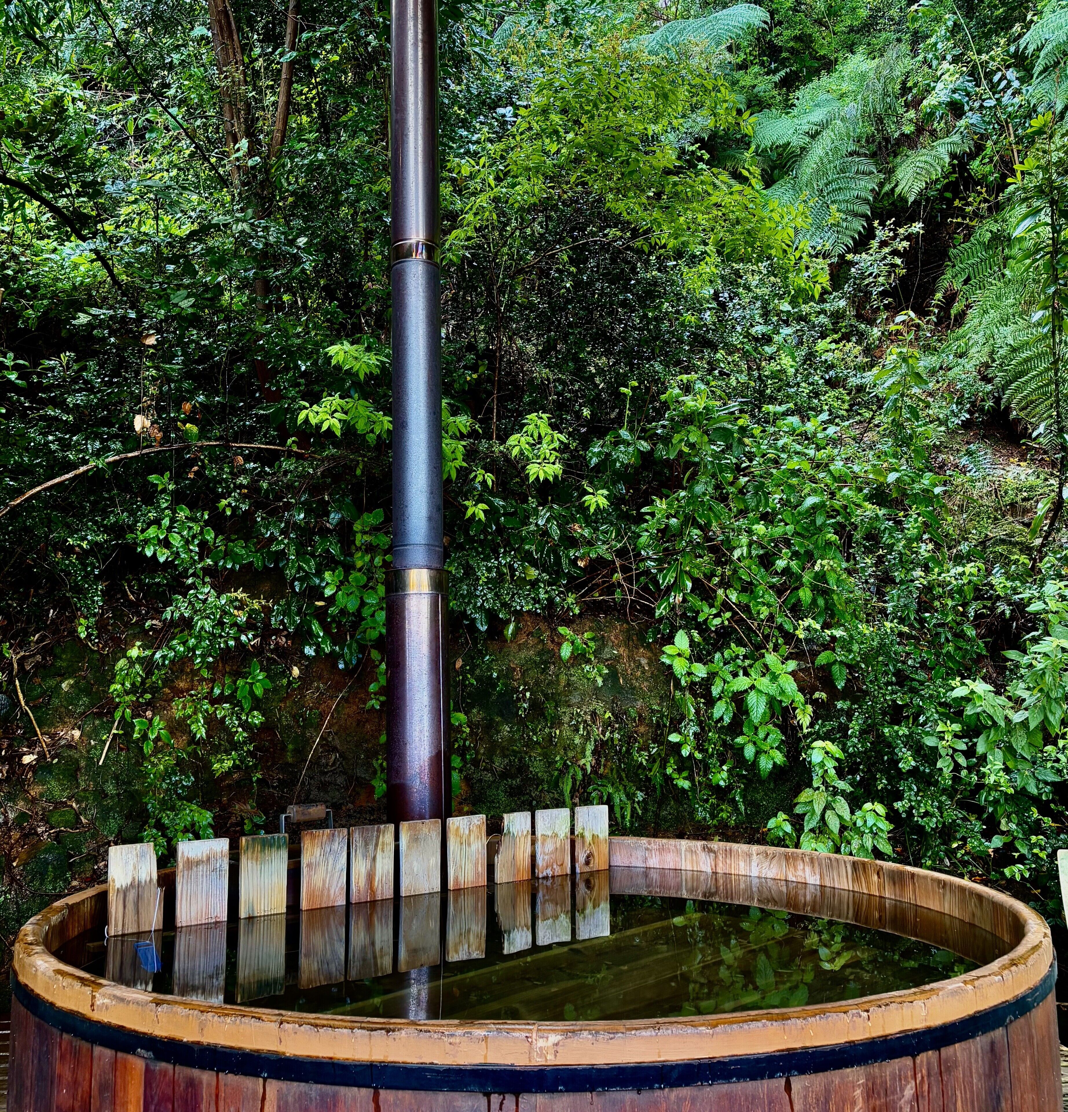 Una bañera de madera rústica rodeada de follaje denso.