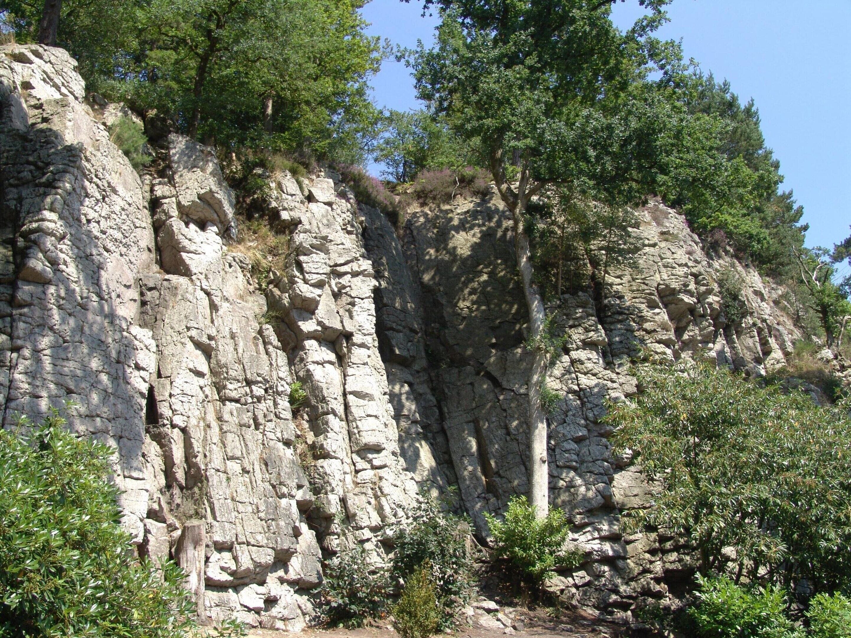 Eine felsige Klippe mit vereinzelter Vegetation und blauem Himmel.