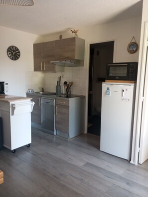 Fridge, microwave, oven, stovetop - The Flight of the Mallard (Dolus-d'Oléron)