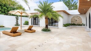 A modern outdoor patio with a pool, lounge chairs, and a palm tree.