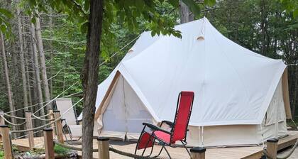 Experience Glamorous Camping in the Woods at Hillcrest