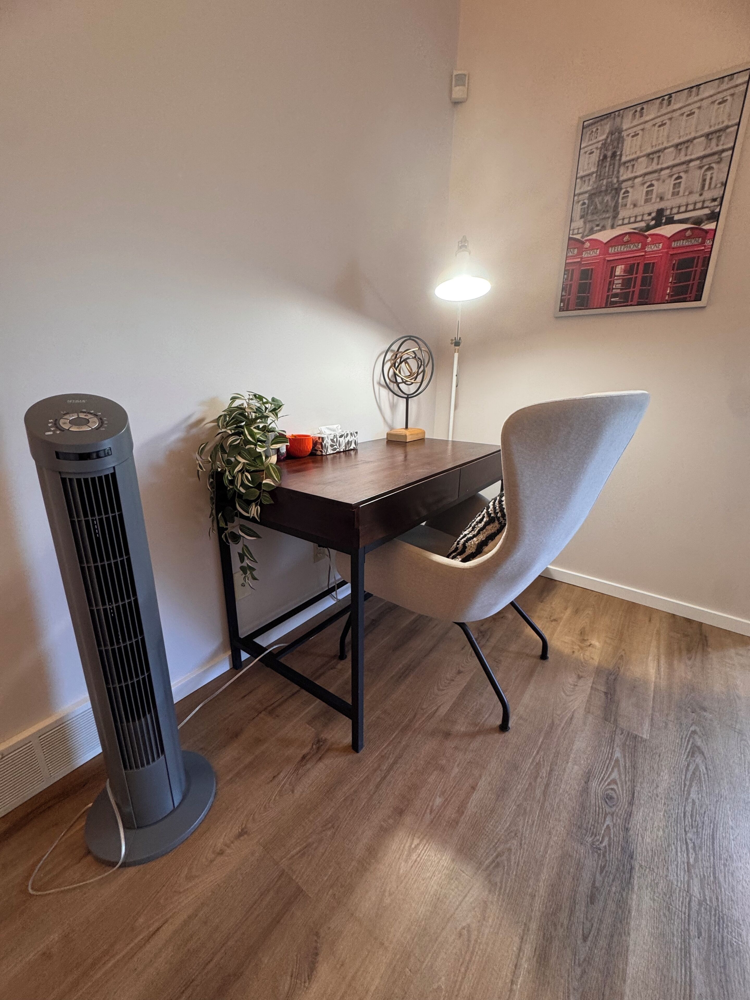 Une pièce avec un radiateur, un bureau avec une chaise, une plante, une lampe et un tableau encadré au mur.