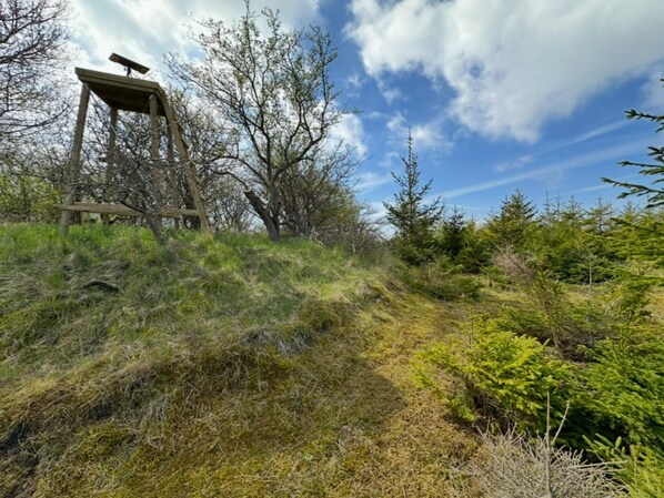House | Miscellaneous - 4 Person Holiday Home in Sejero (Sejero)