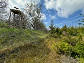 A wooden structure with a solar panel on a hillside with sparse vegetation and trees. - 4 Person Holiday Home in Sejero (Sejero)