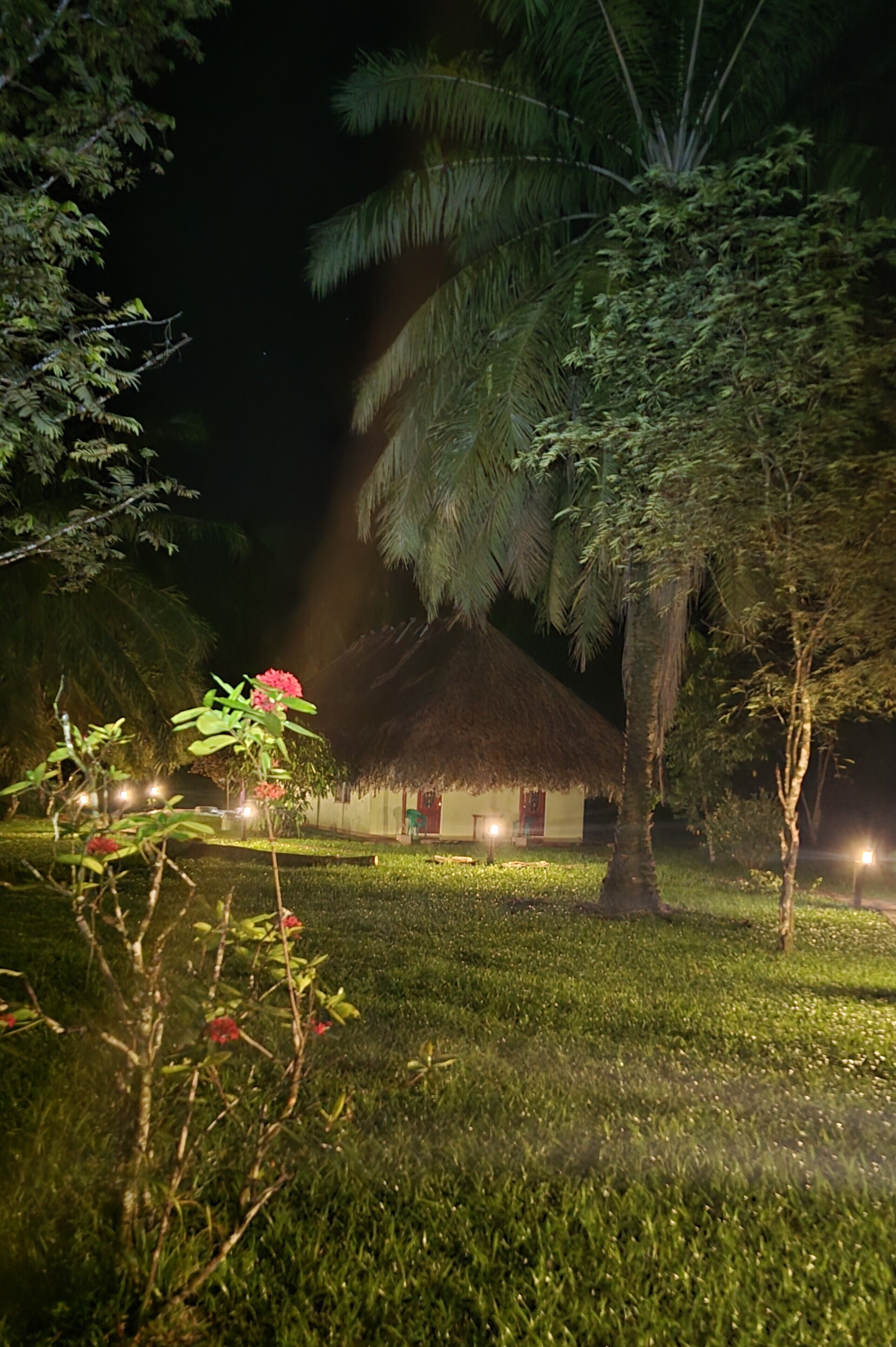Comfort Double Room, Patio, Garden View | Property grounds