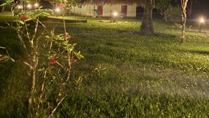 舒适双人房, 露台, 花园景观 | 住宿场地