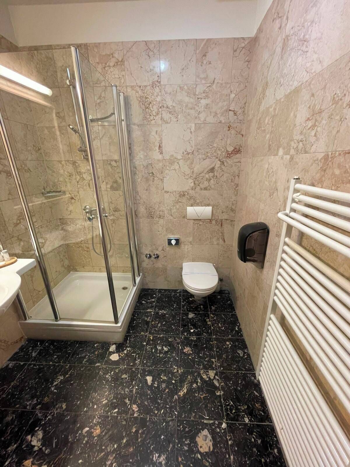 Et badeværelse med en brusekabine med glasvægge, et toilet og en håndklædestang.