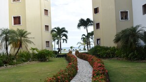 Un sendero que lleva a una piscina con palmeras y un edificio de muchas ventanas.
