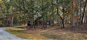 Une zone boisée avec une petite cabane et un panneau indicateur.