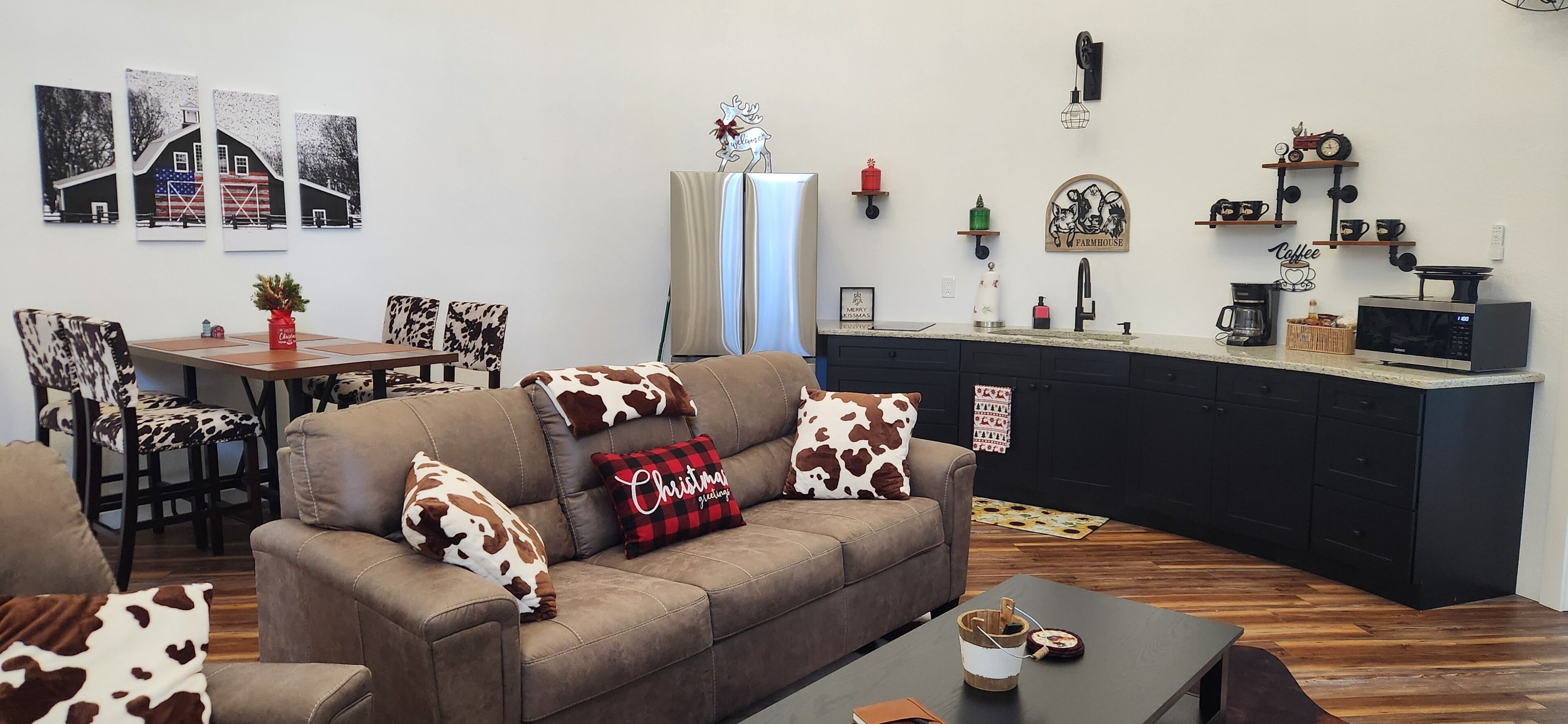 Smart TV, fireplace, DVD player, video library
